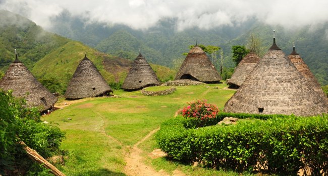 Source: komodowisata.com