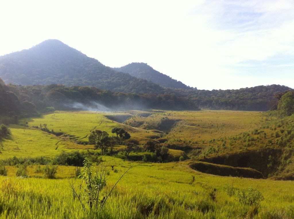 iTravel: Catatan Perjalanan ke Tegal&nbsp;Panjang