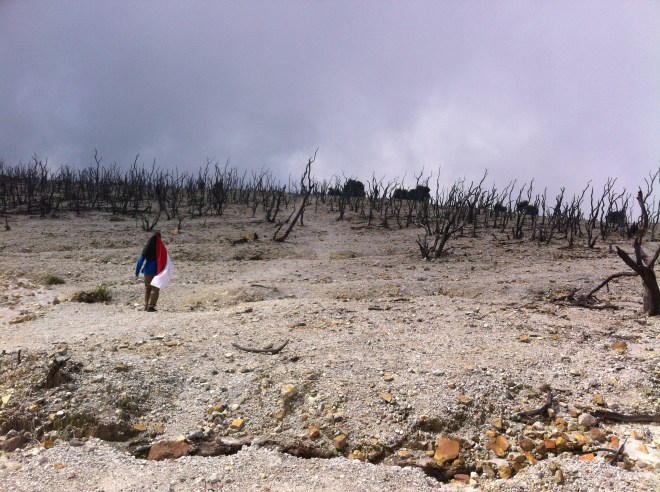 Hutan Mati Papandayan